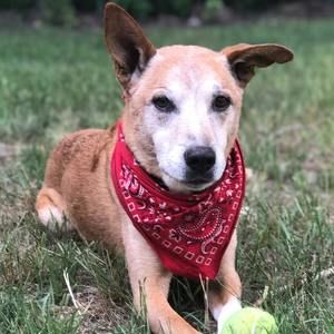 Meet your Posher, Nikki